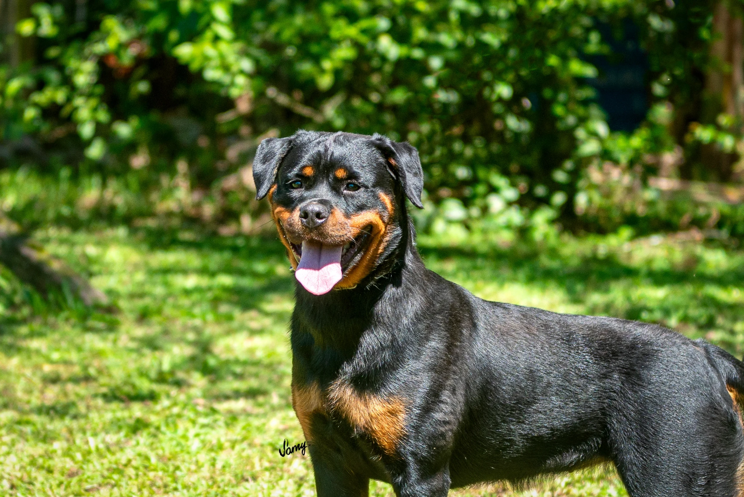 Plantel e Excelência